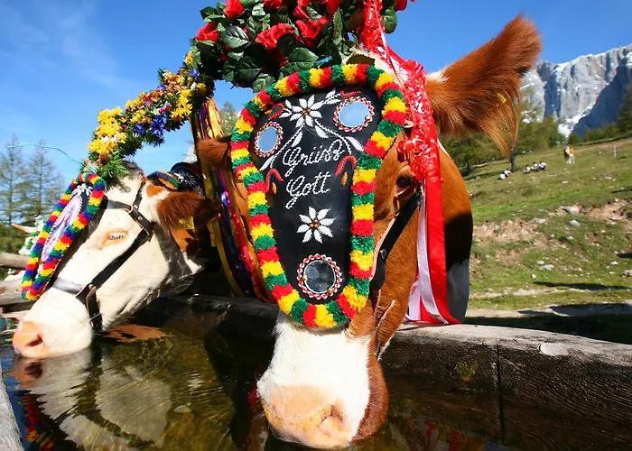 アパート Haus Bergzauber *