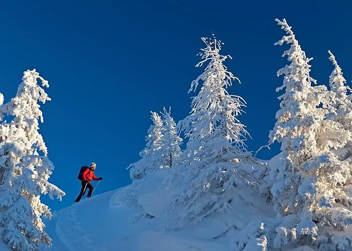 Haus Bergzauber アパート *